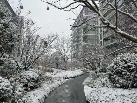 路劲美的竹林壹号实景图