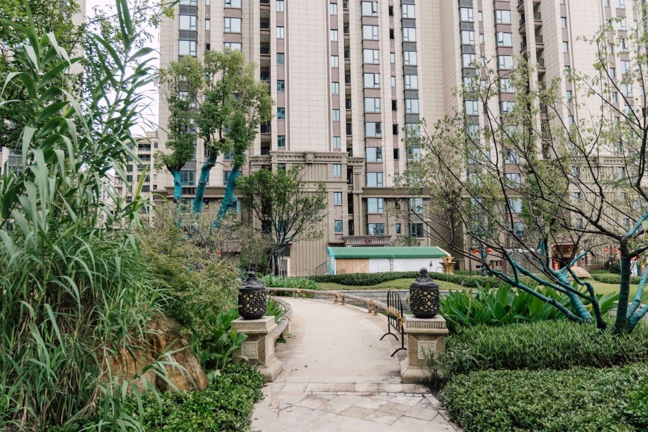实景图