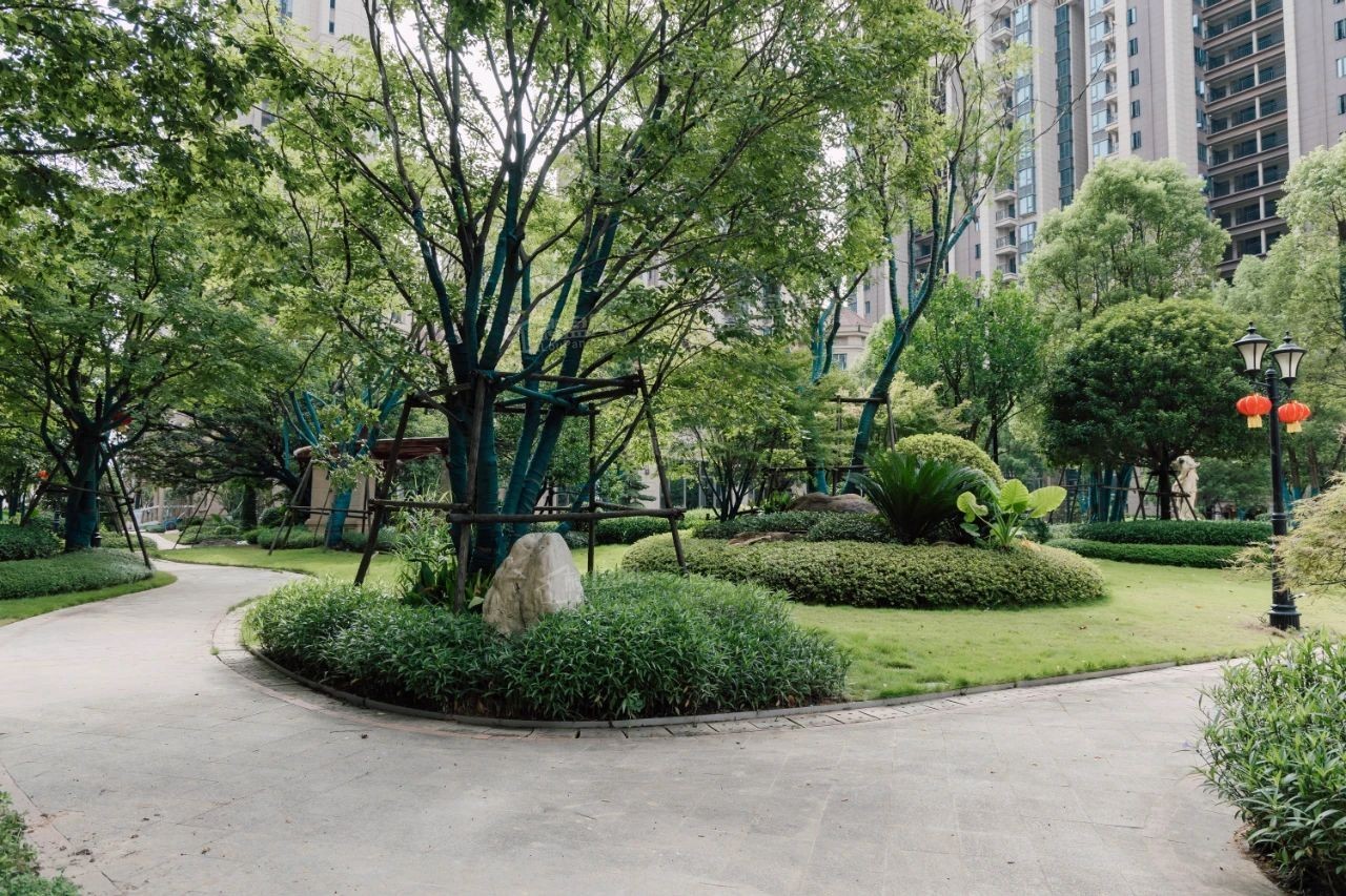 实景图