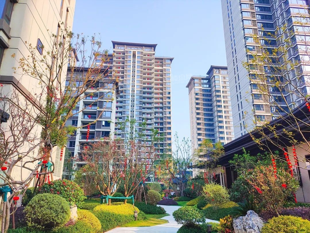 实景图