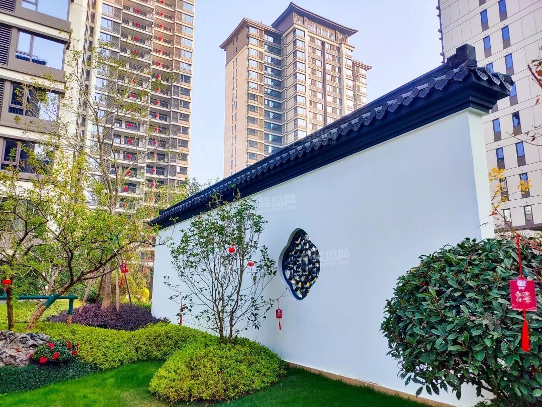 实景图
