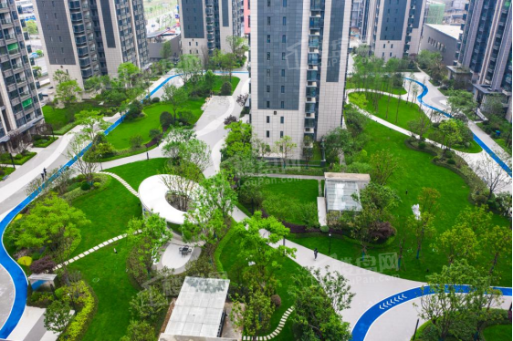 实景图