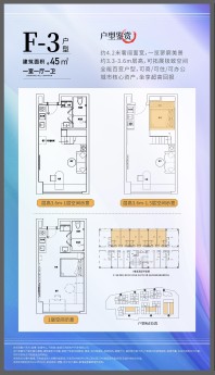 F-3户型-一房一厅一卫-45㎡