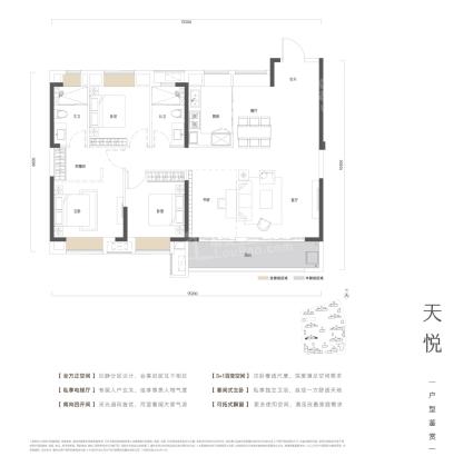 天悦 悦143㎡三房（3+1房）