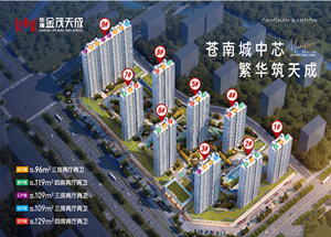 苍南华澜·金茂天成高清图