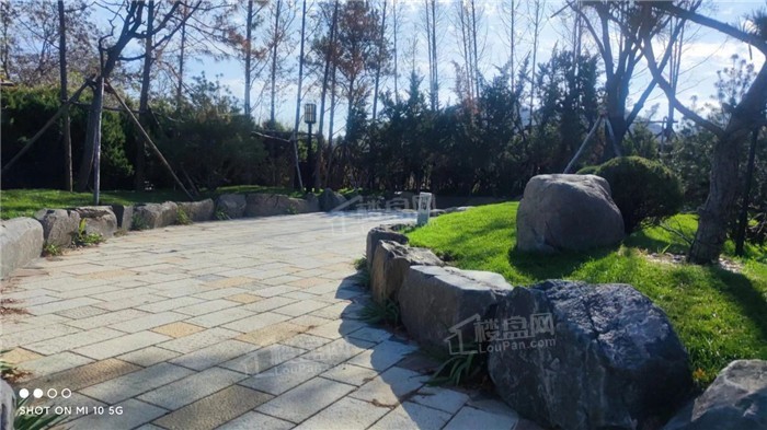 汤景泽平安府效果图