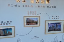 长江天和实景图