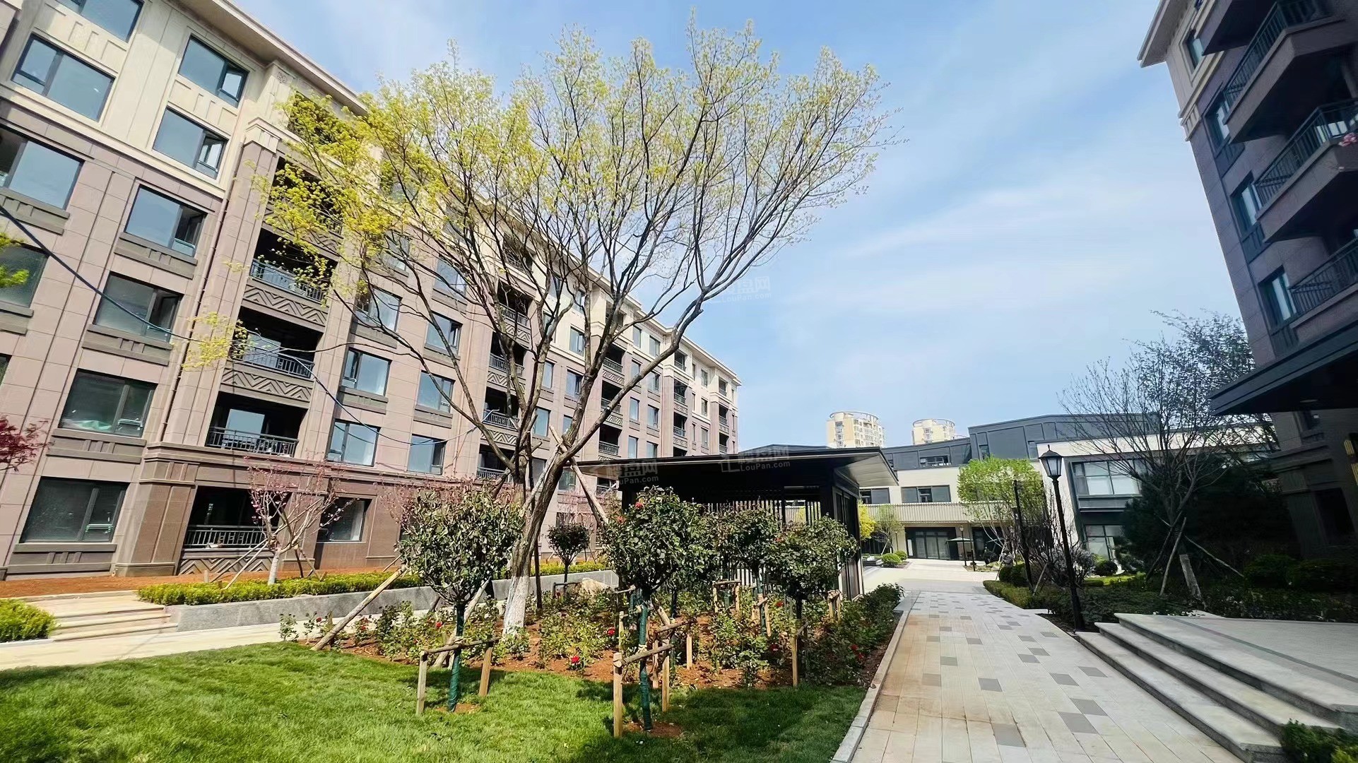 金泉绿洲实景图