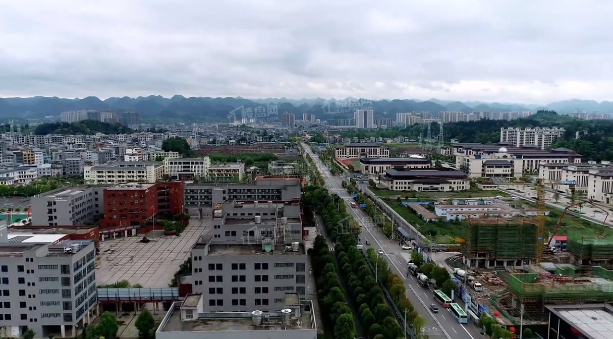 实景图