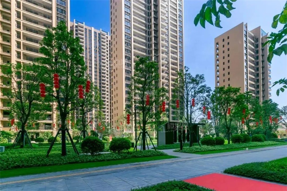 实景图