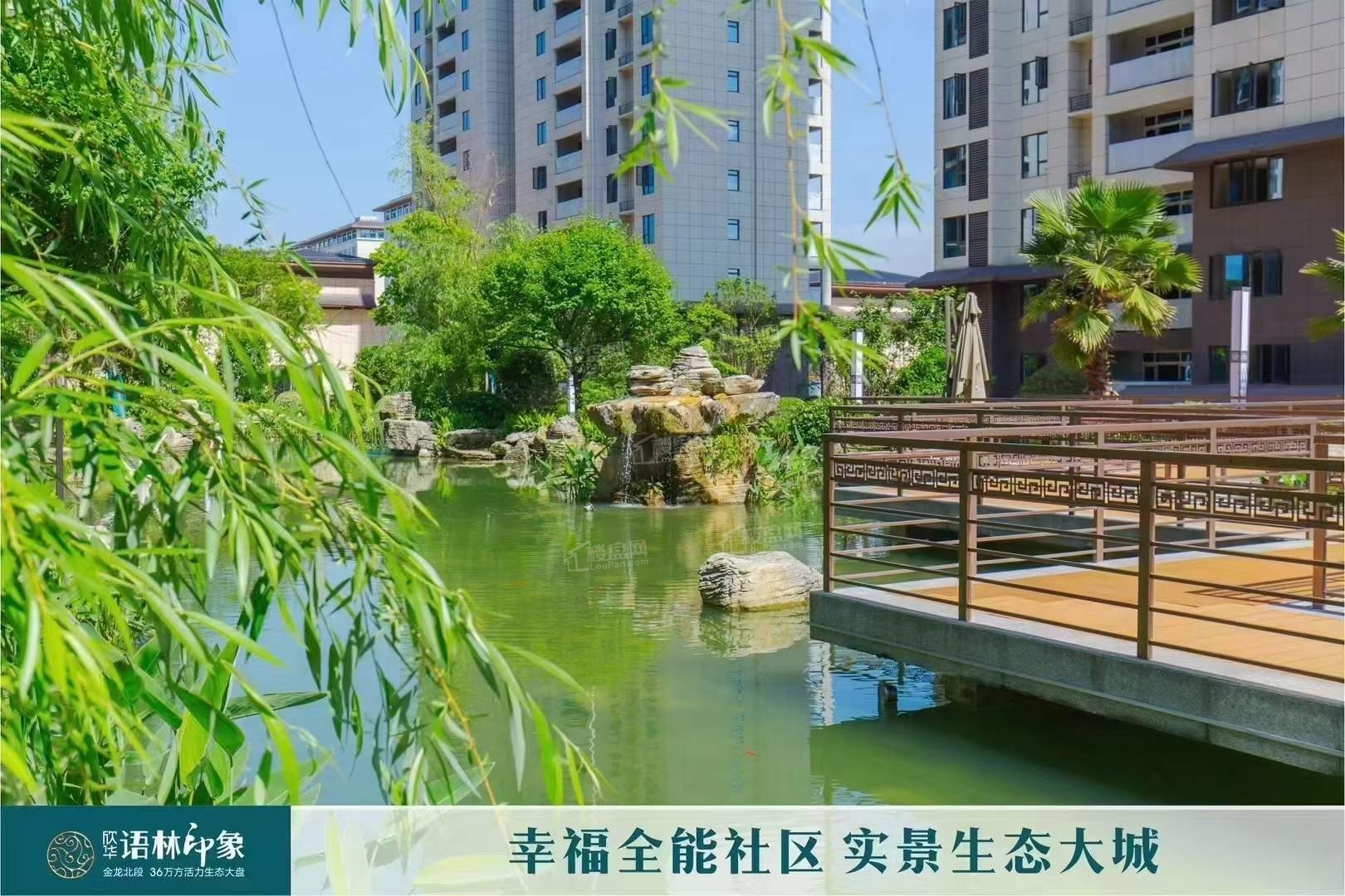 实景图