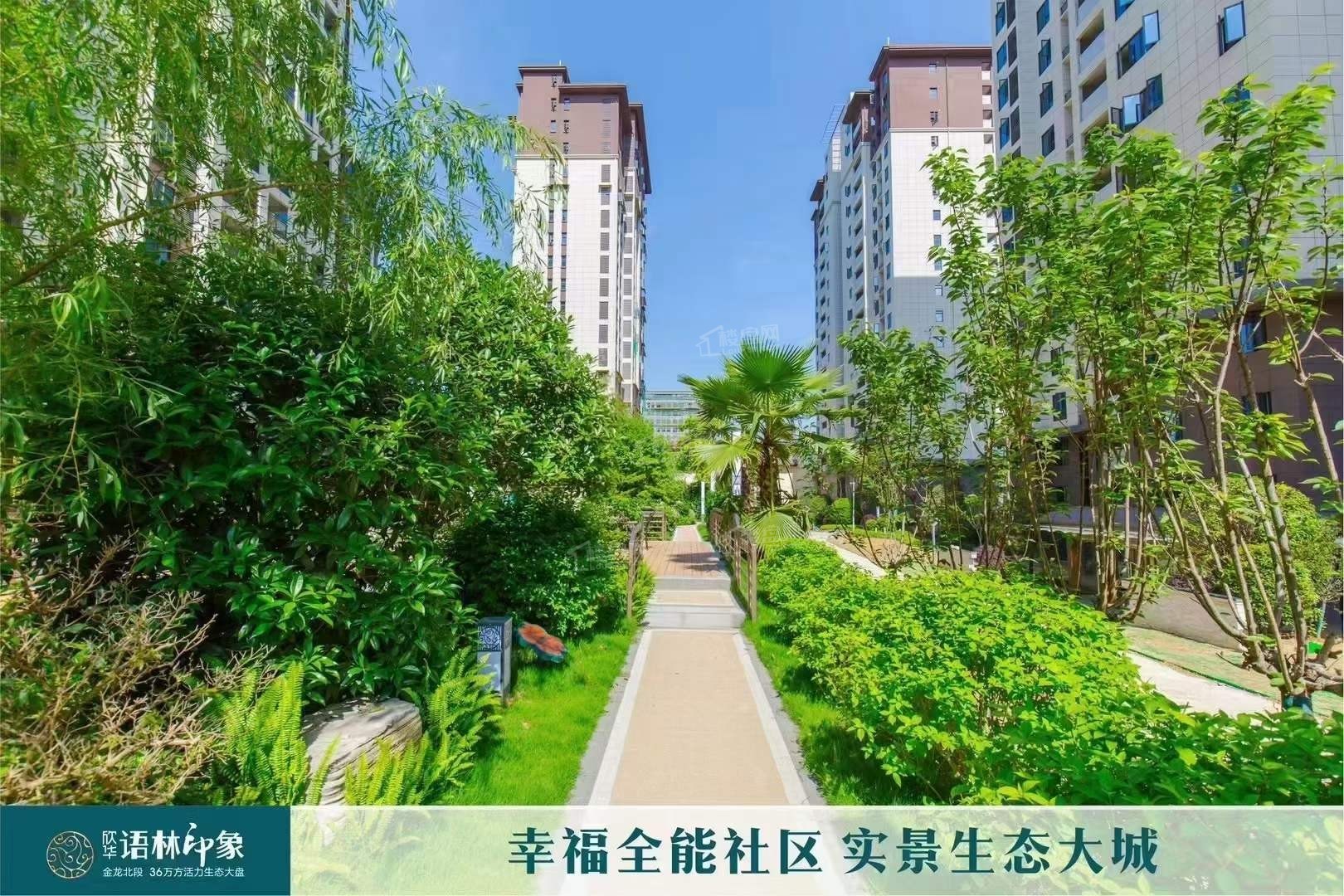 实景图
