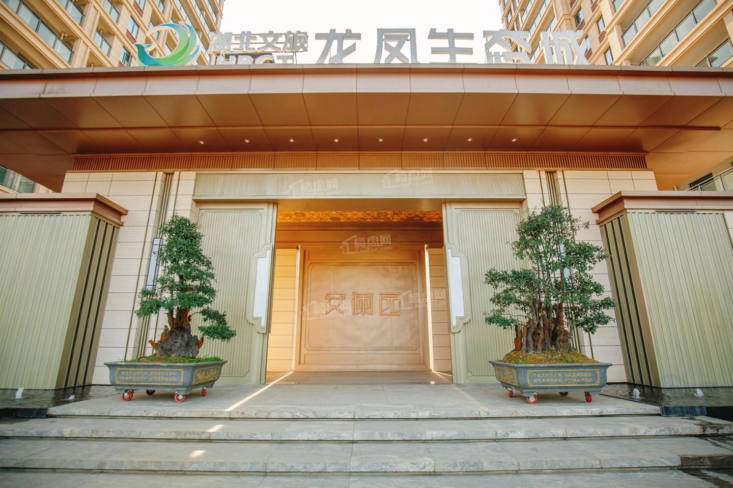 效果图