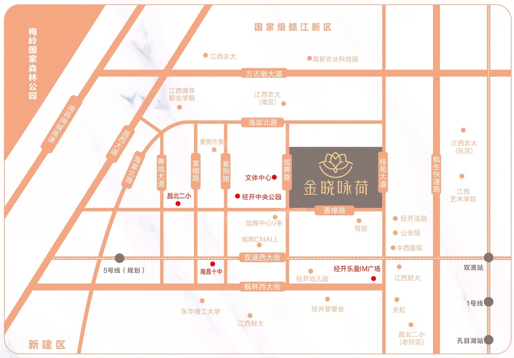 金晓咏荷位置图