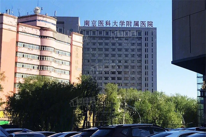 效果图