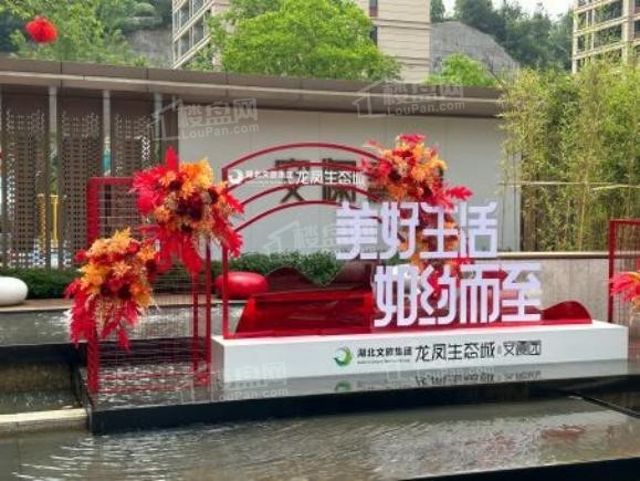实景图
