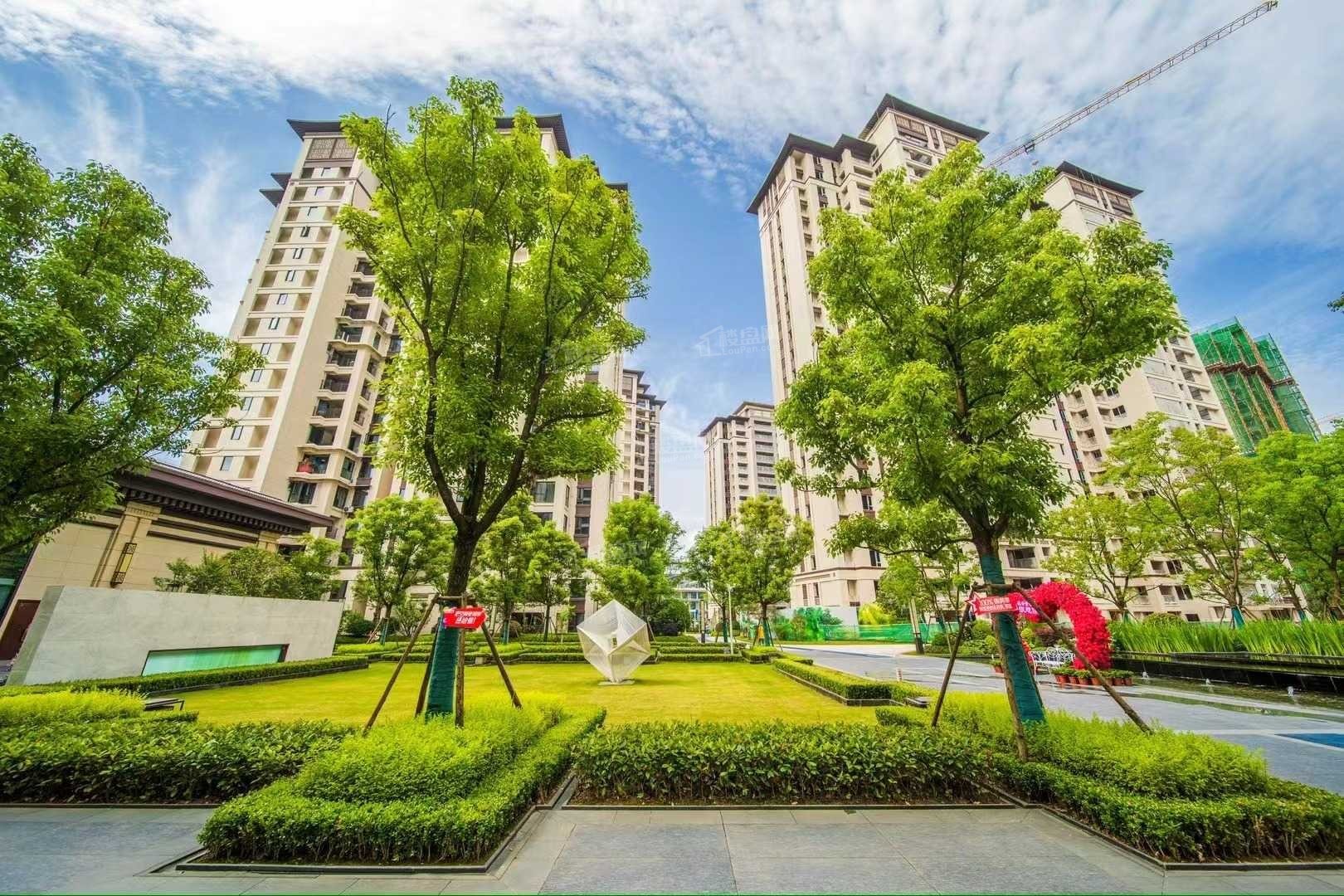 实景图