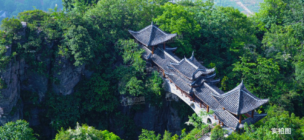 效果图