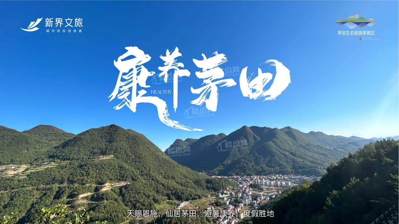 效果图