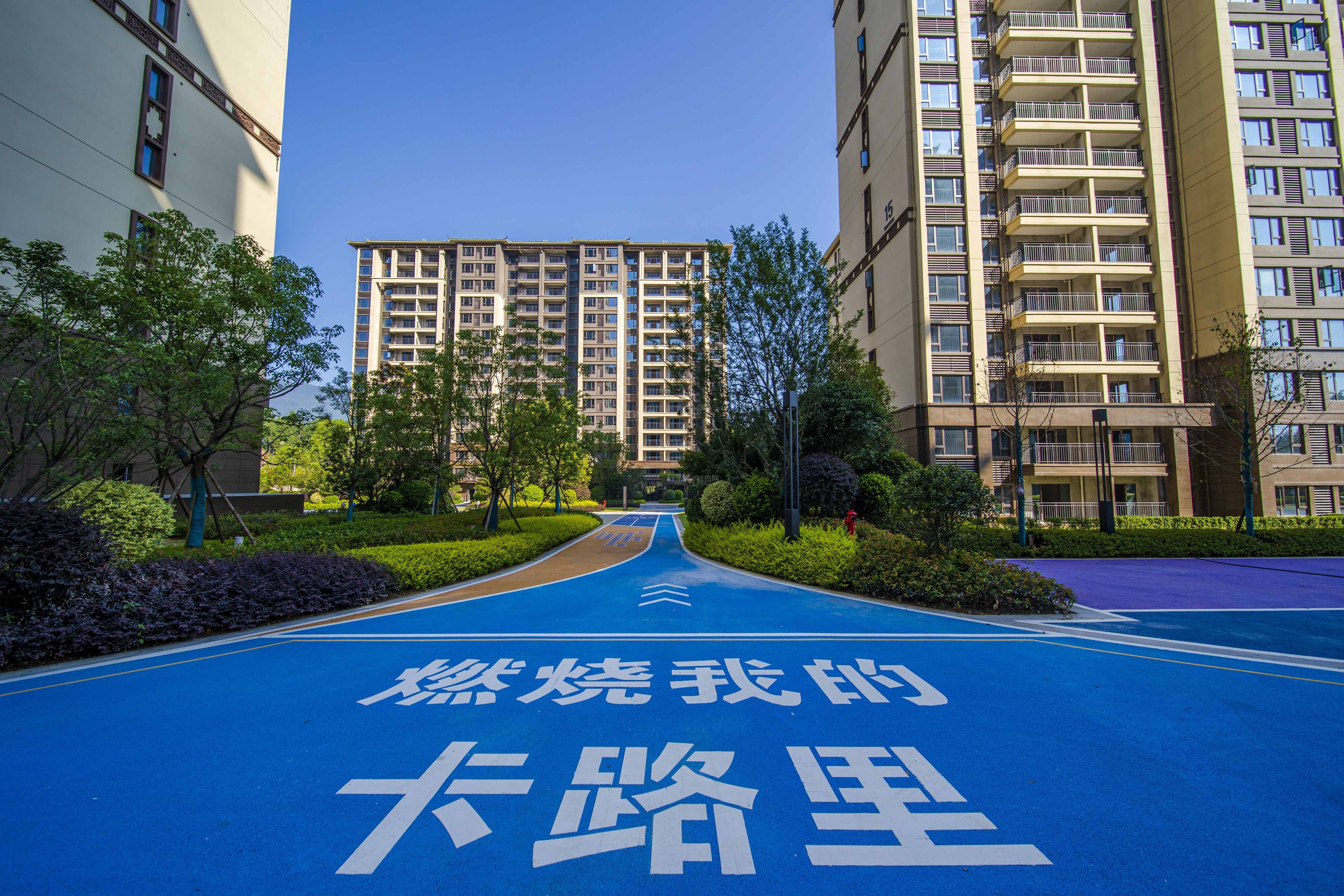 实景图