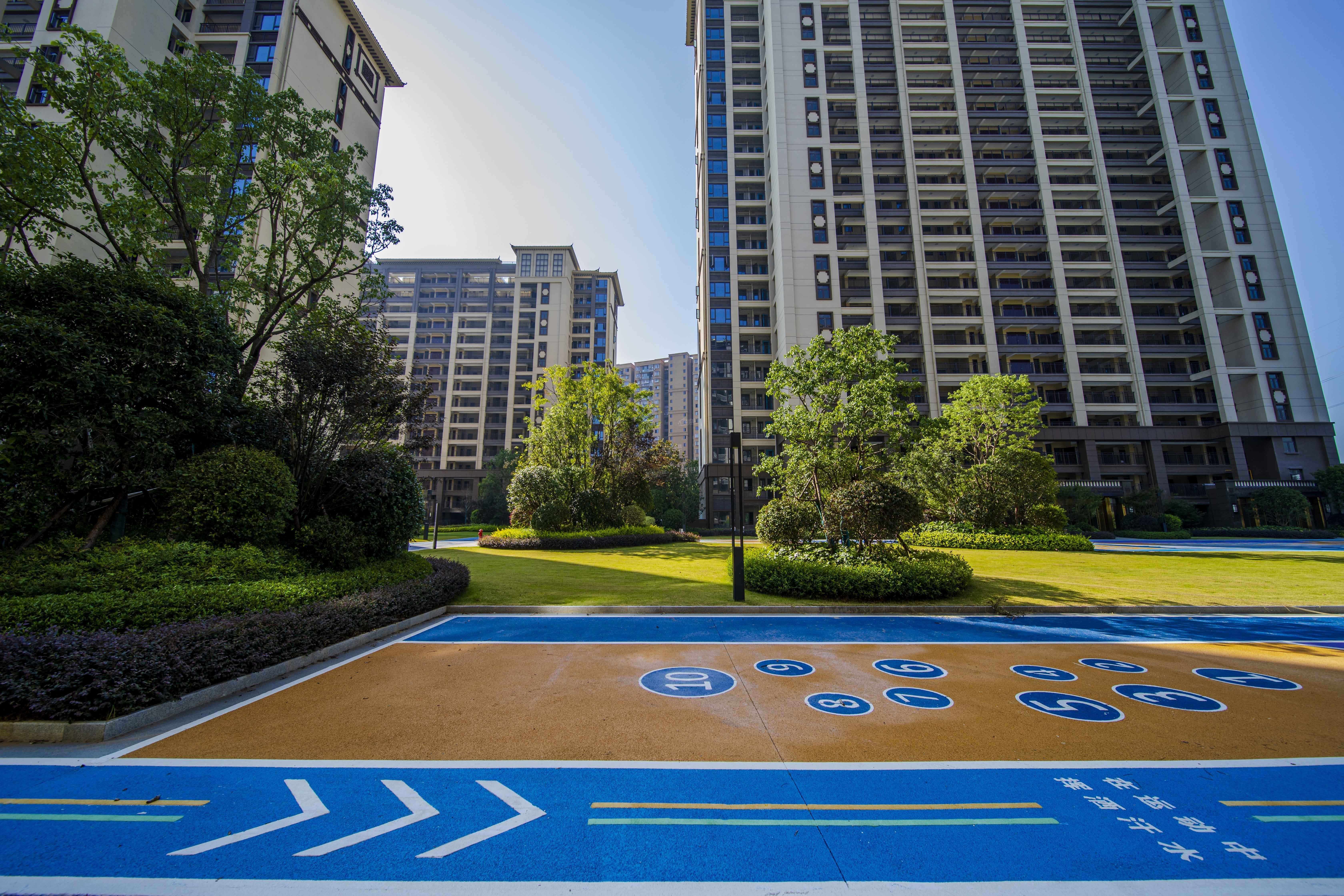 实景图