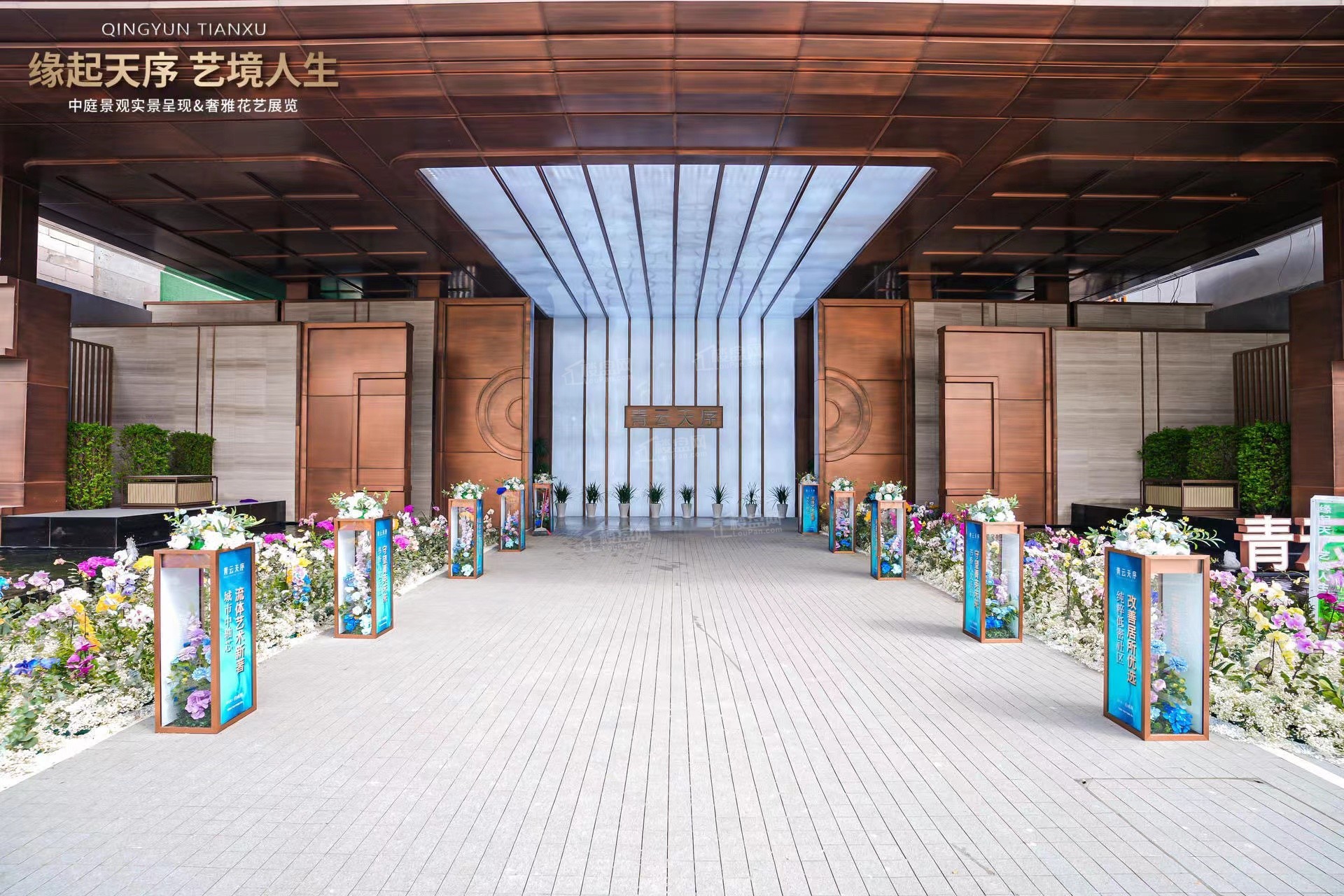 实景图