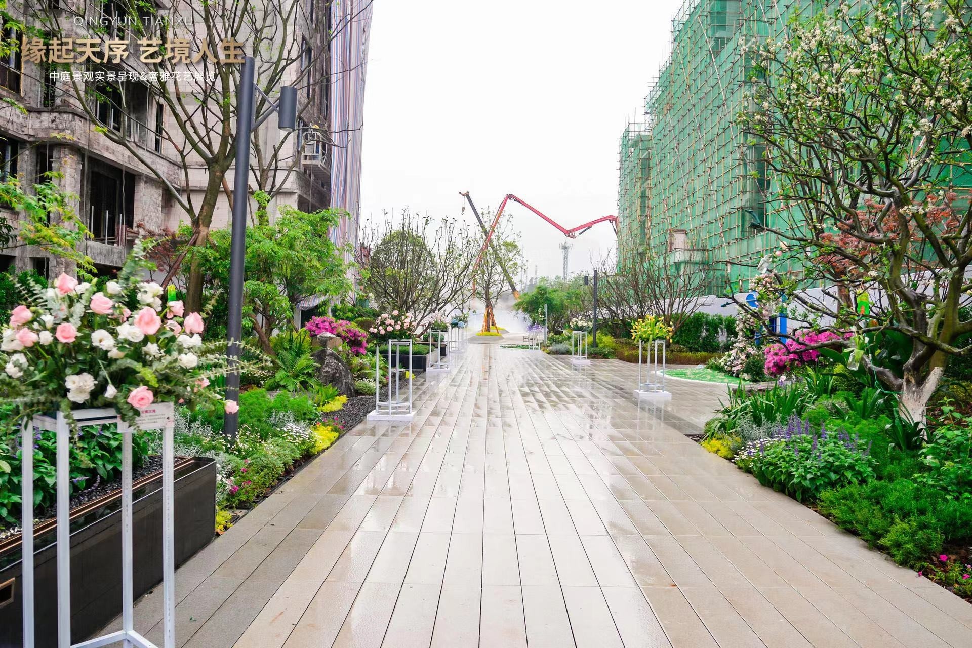 实景图