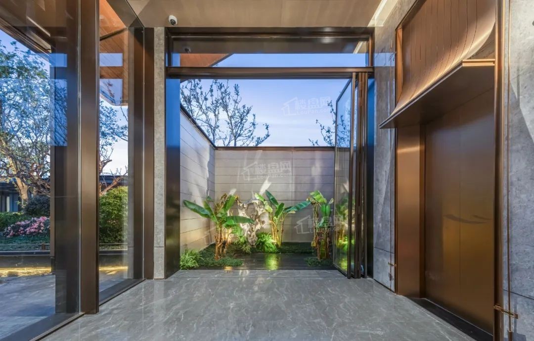 印象青城效果图