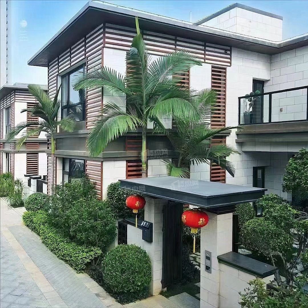 汉街南珠院墅实景图