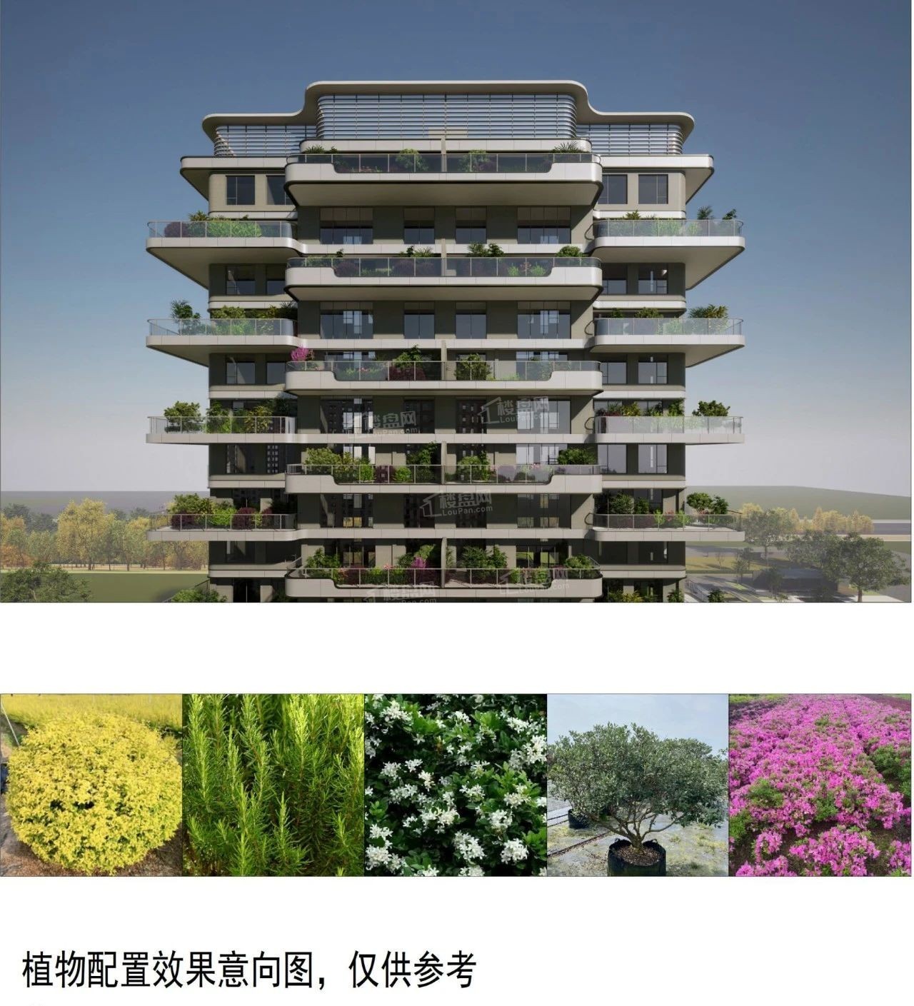 大集锦!苏州新楼盘有哪些?看完你就有答案了!-苏州楼盘网