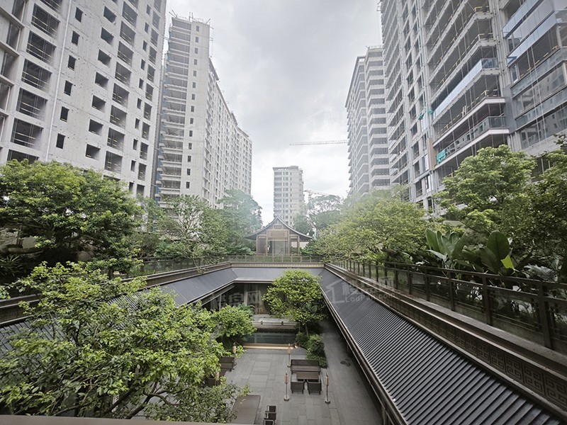 保利天瑞项目实景图