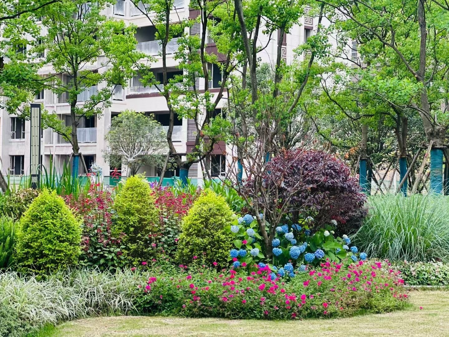 实景图