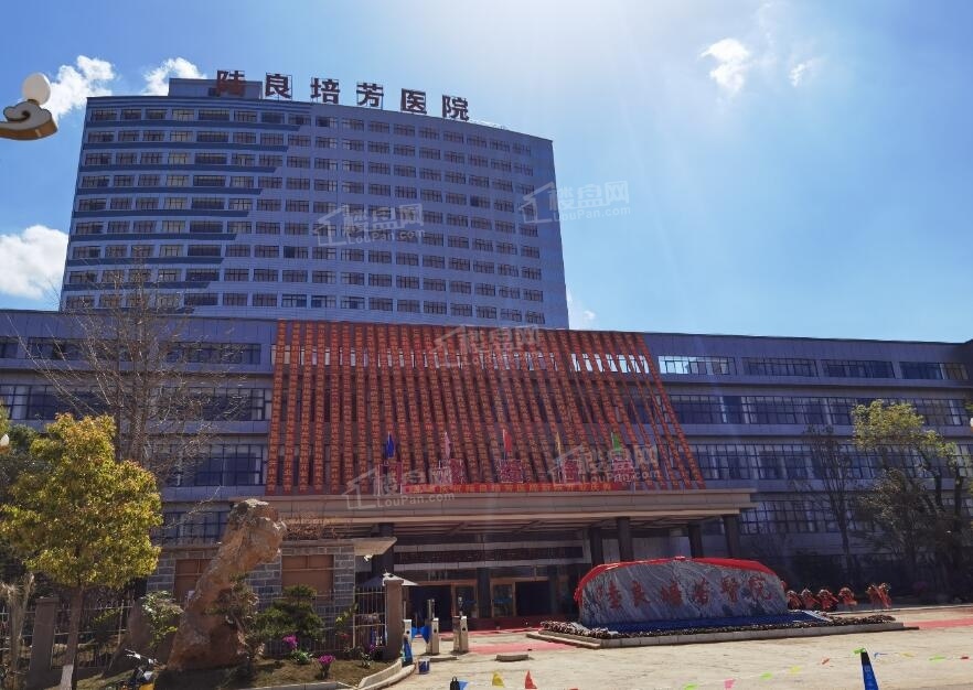 锦源兰庭央玺配套图