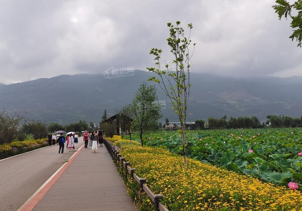 美景风华绿园配套图