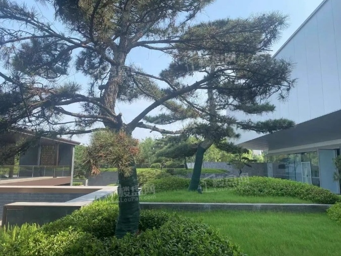 中国铁建花语江南实景图