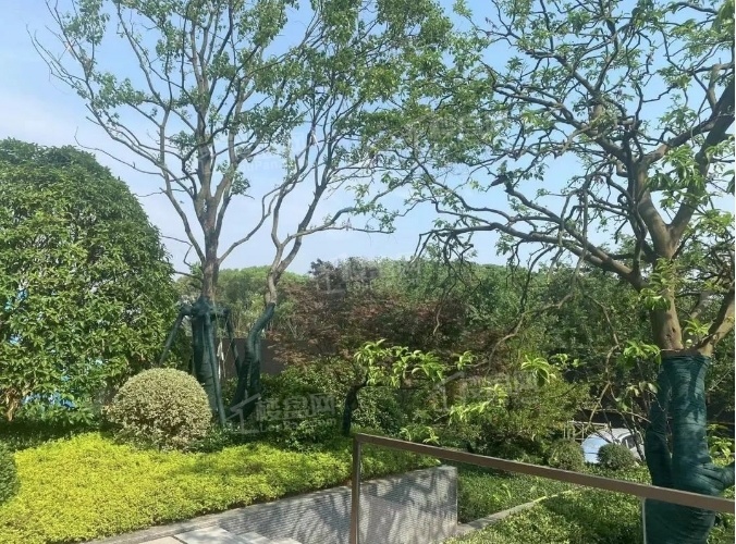 中国铁建花语江南实景图