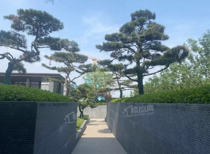 中国铁建花语江南实景图