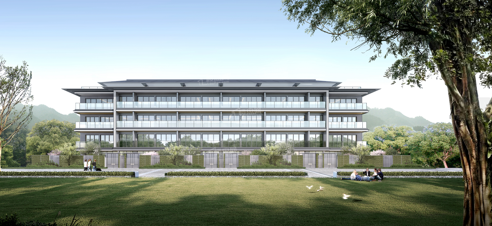 秦风雅颂效果图