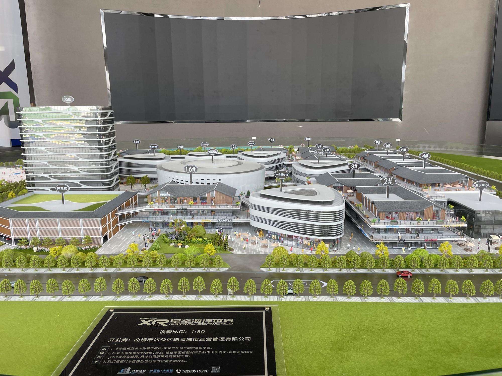 XR星空海洋世界实景图