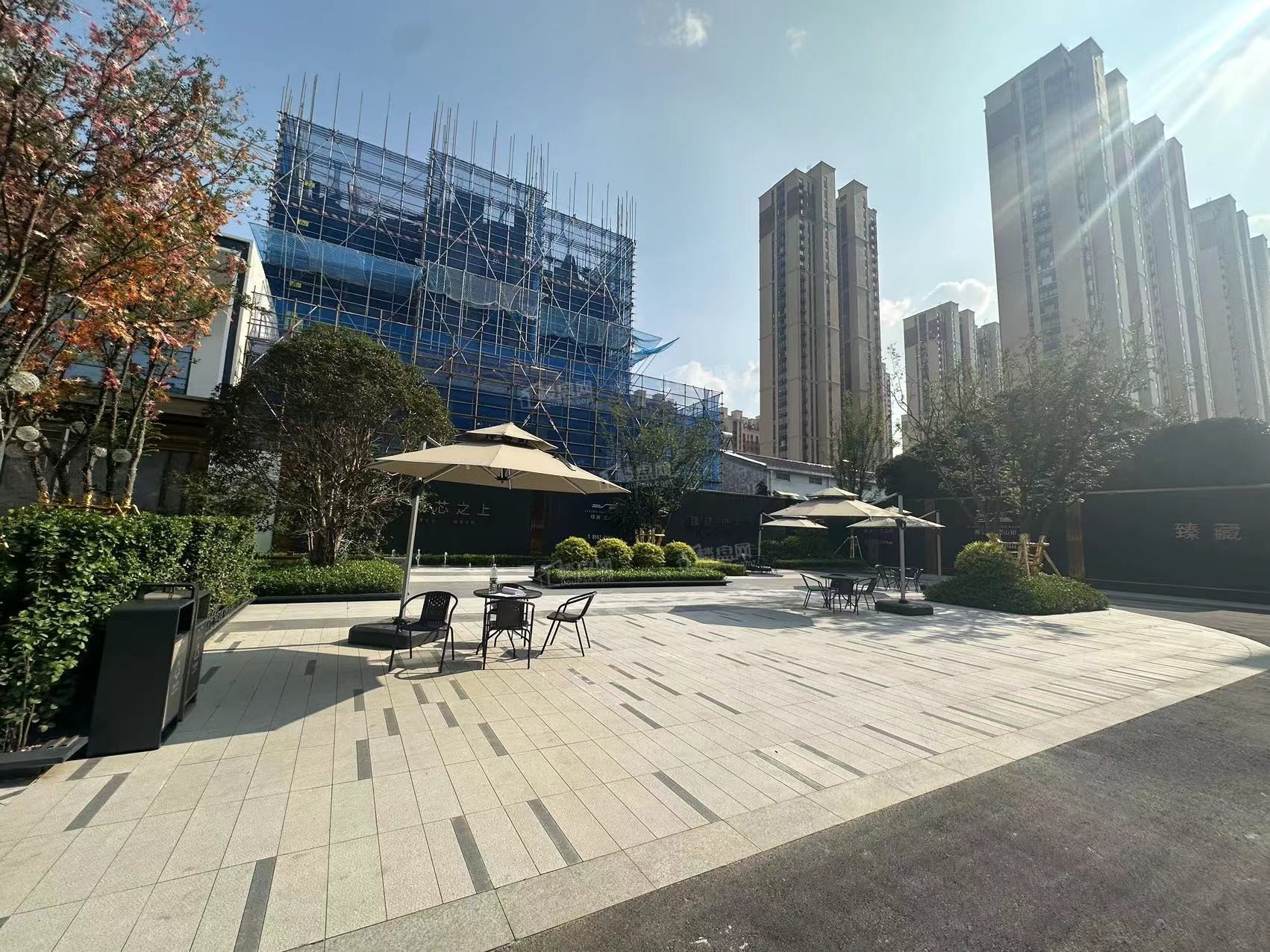 绿洲江山印 实景图