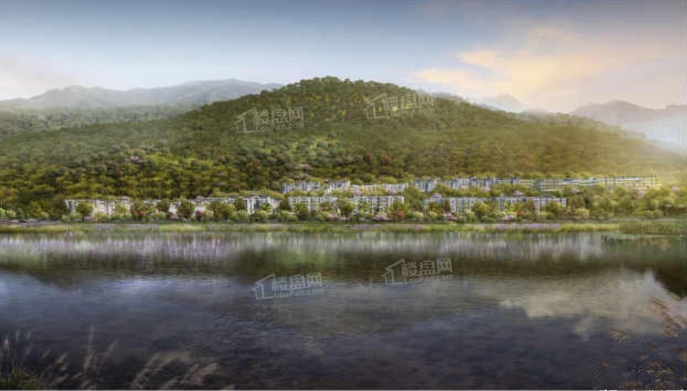 白鹿春晓效果图