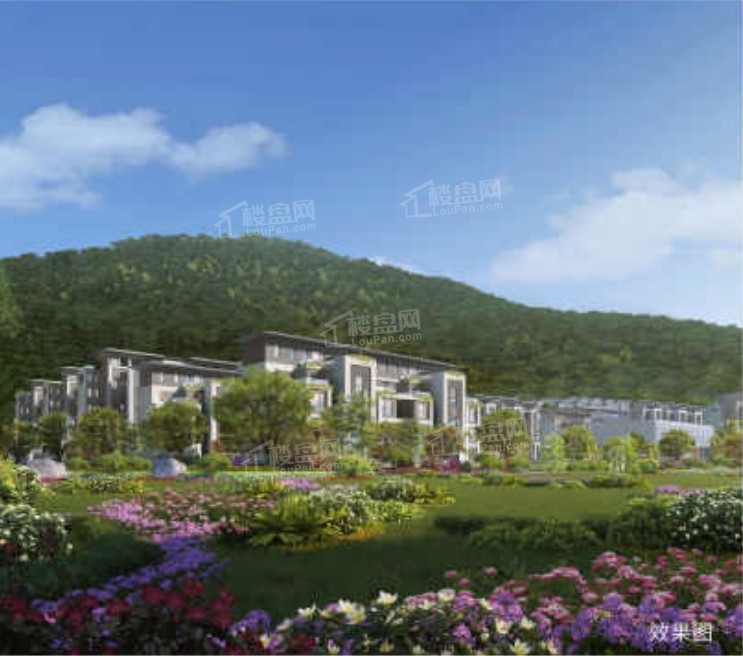 白鹿春晓效果图