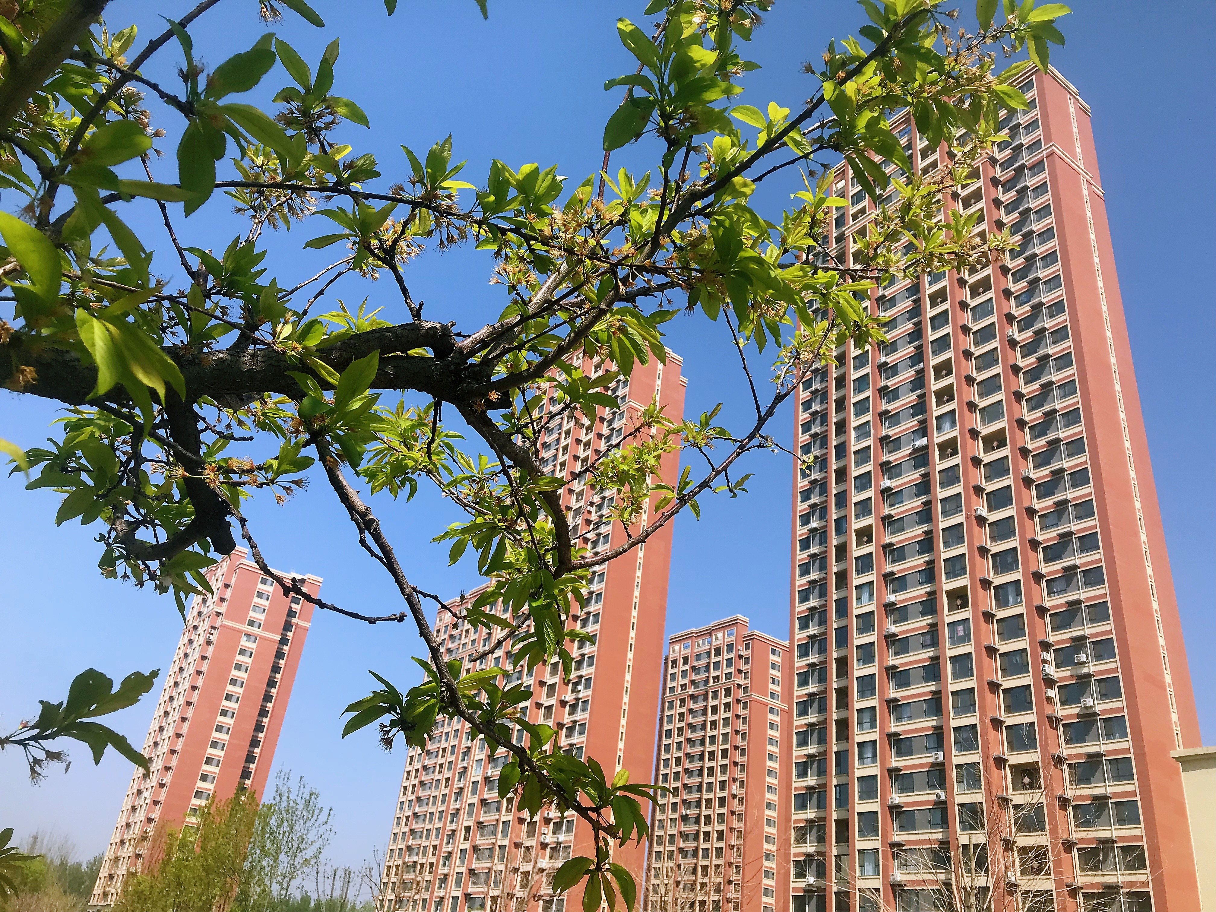 首开国风润城实景图