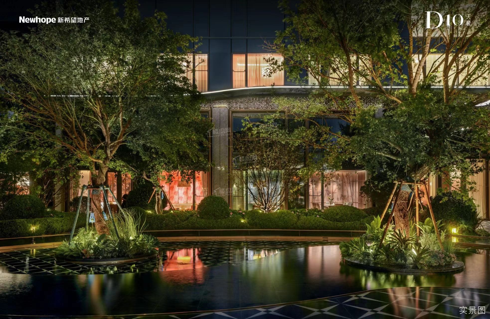 新希望D10天誉实景图