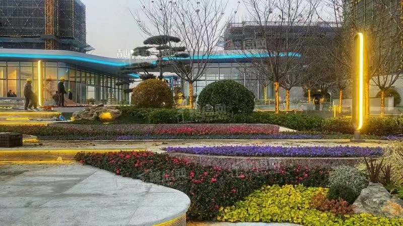 青山上合院 实景图