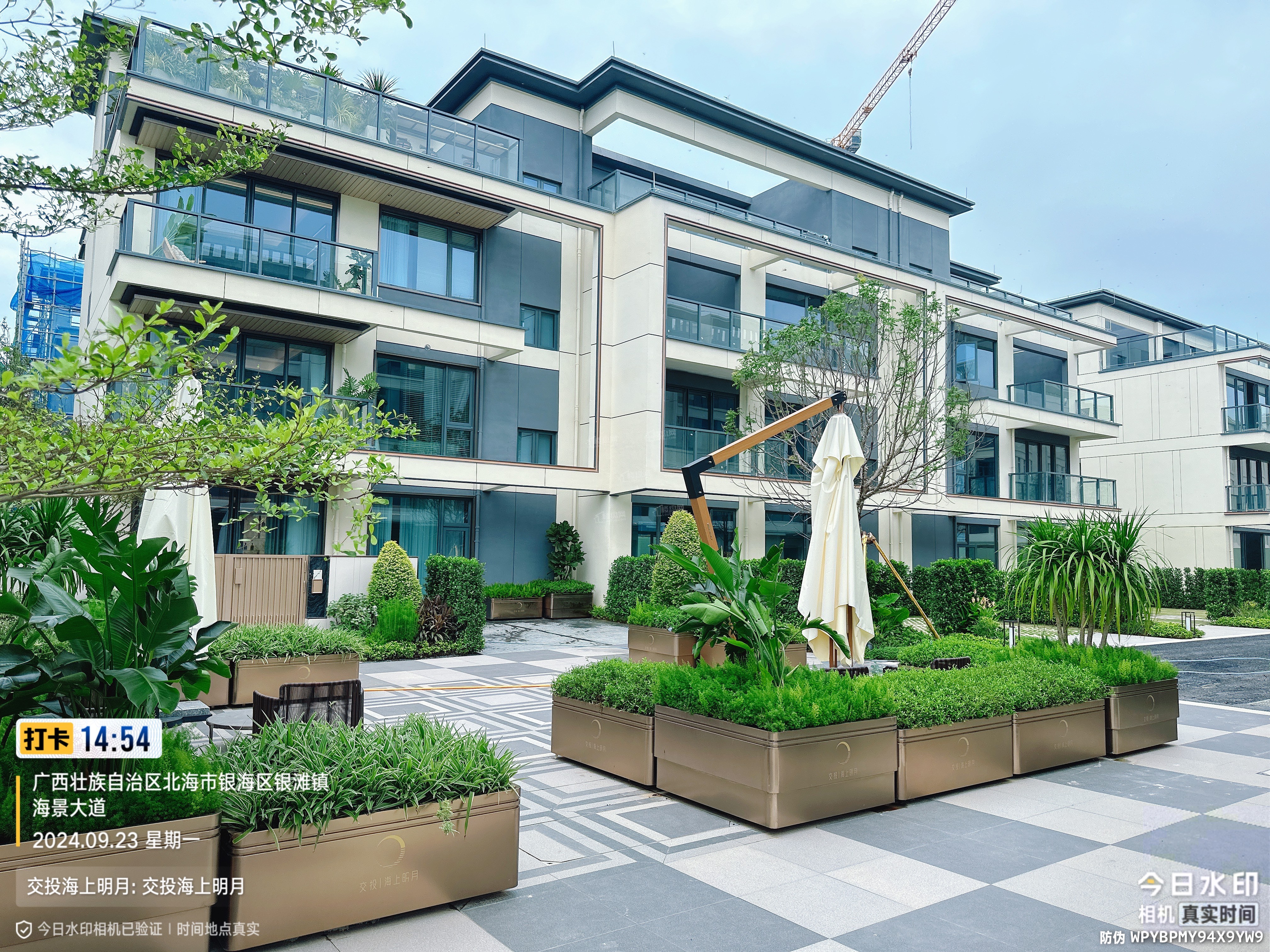 交投海上明月实景图