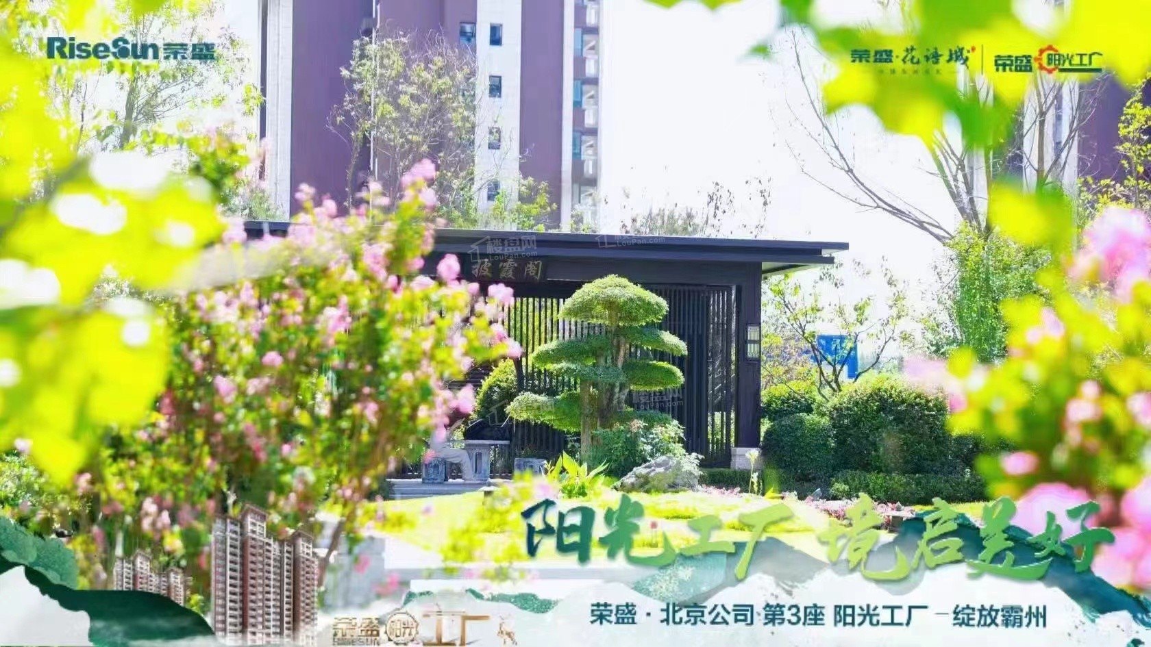 购房须知|霸州房价降了吗？有哪些好房推荐？-霸州楼盘网