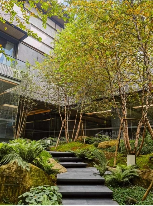 招商蛇口天青府实景图