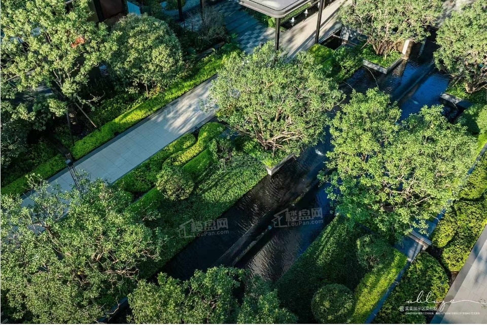 招商蛇口璀璨学府实景图