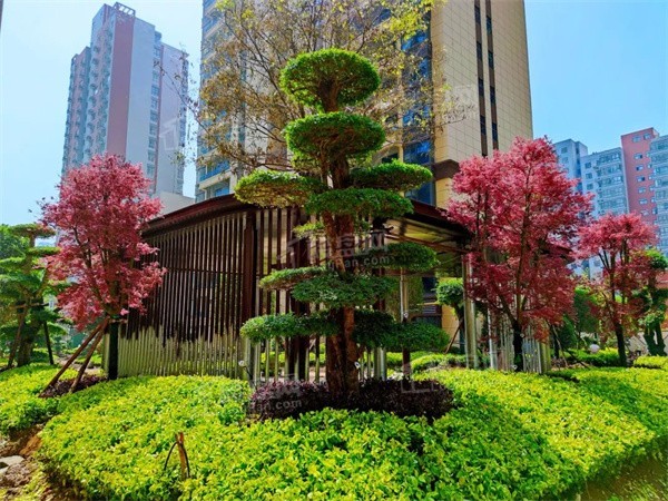 鹭洲首府实景图